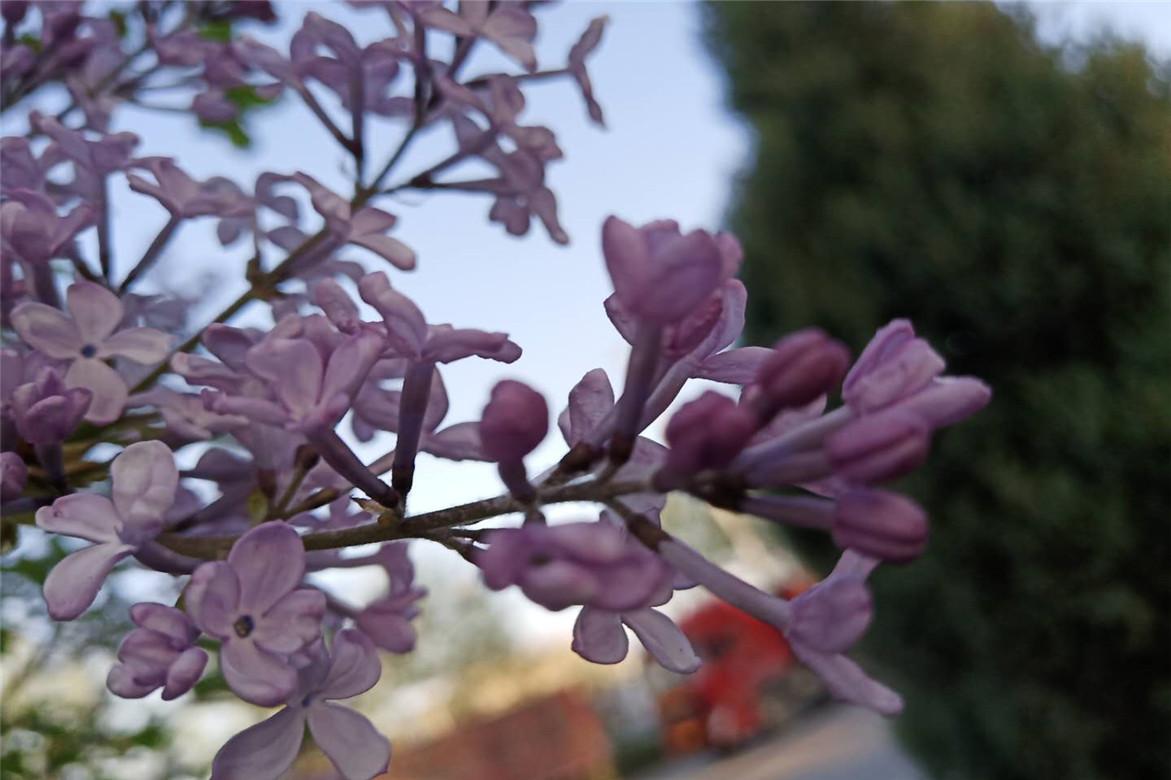 哆啦a梦大雄跟小哆啦抢年糕吃,朵拉与大雄全集免费观看完整版