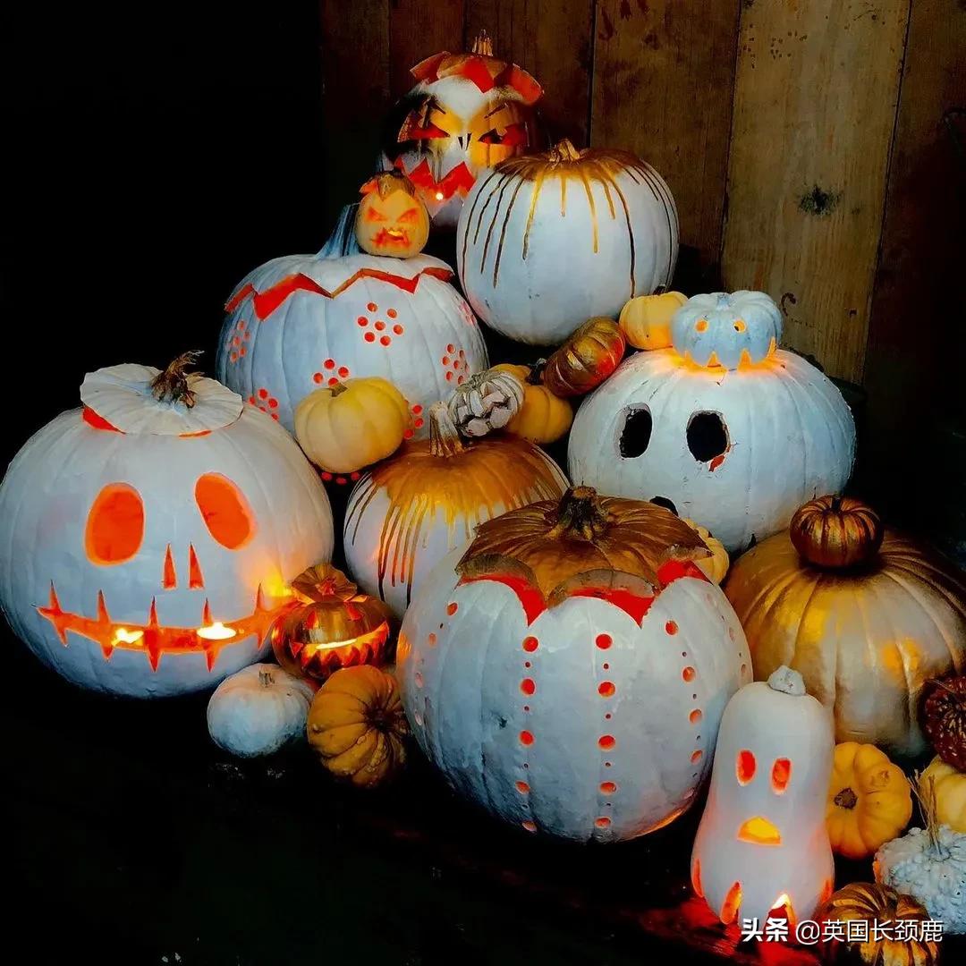 南瓜大作战攻略,南瓜大作战有几个地点