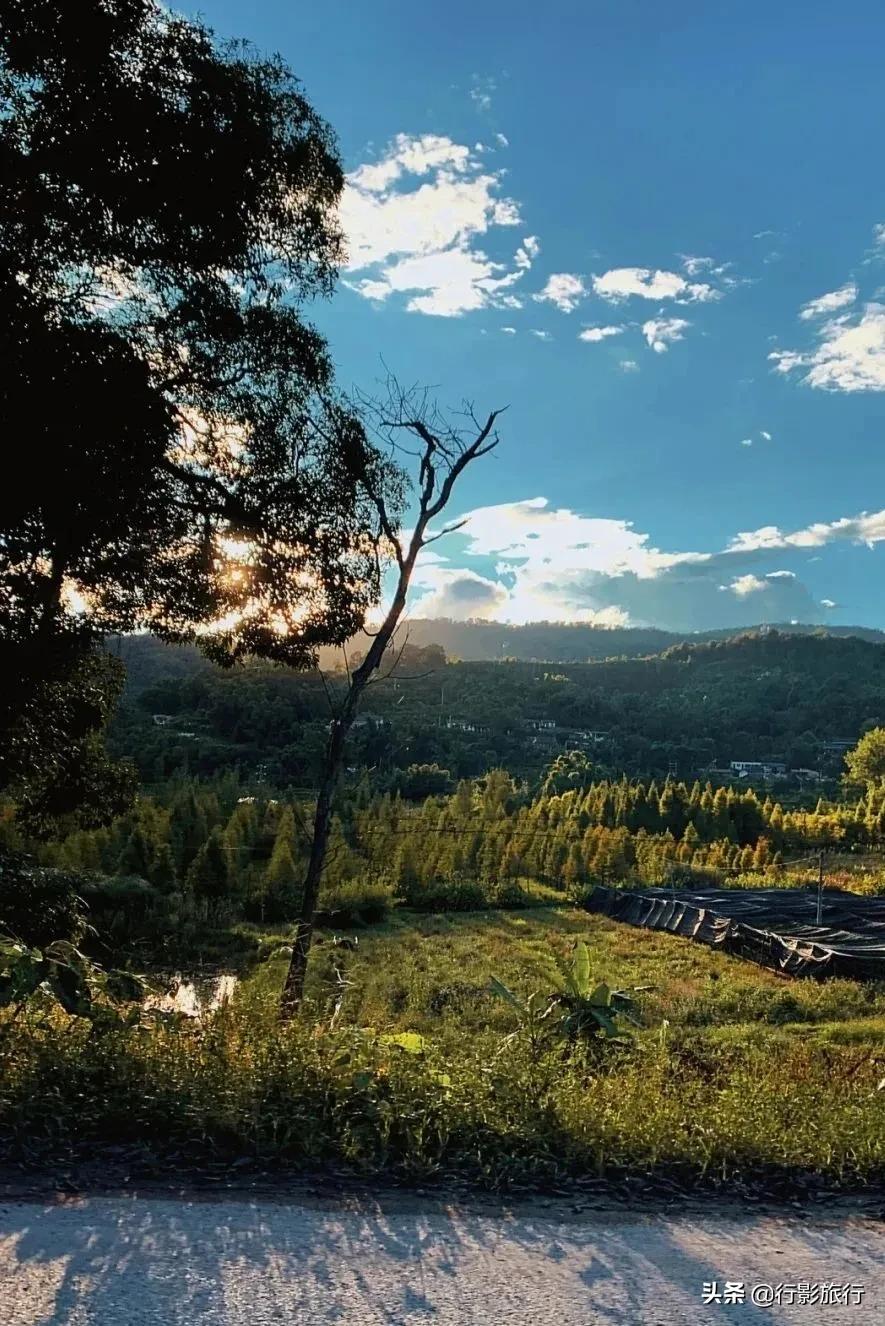 云南西双版纳地方介绍,云南西双版纳旅游简介