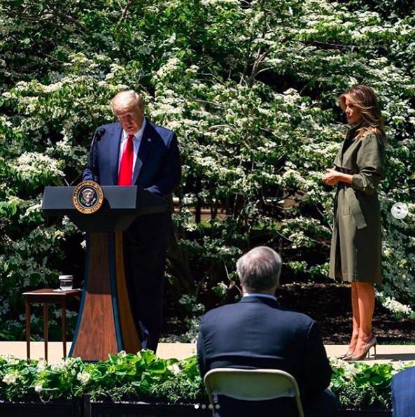 美国第一夫人植树节,美国第一夫人绿色衣服