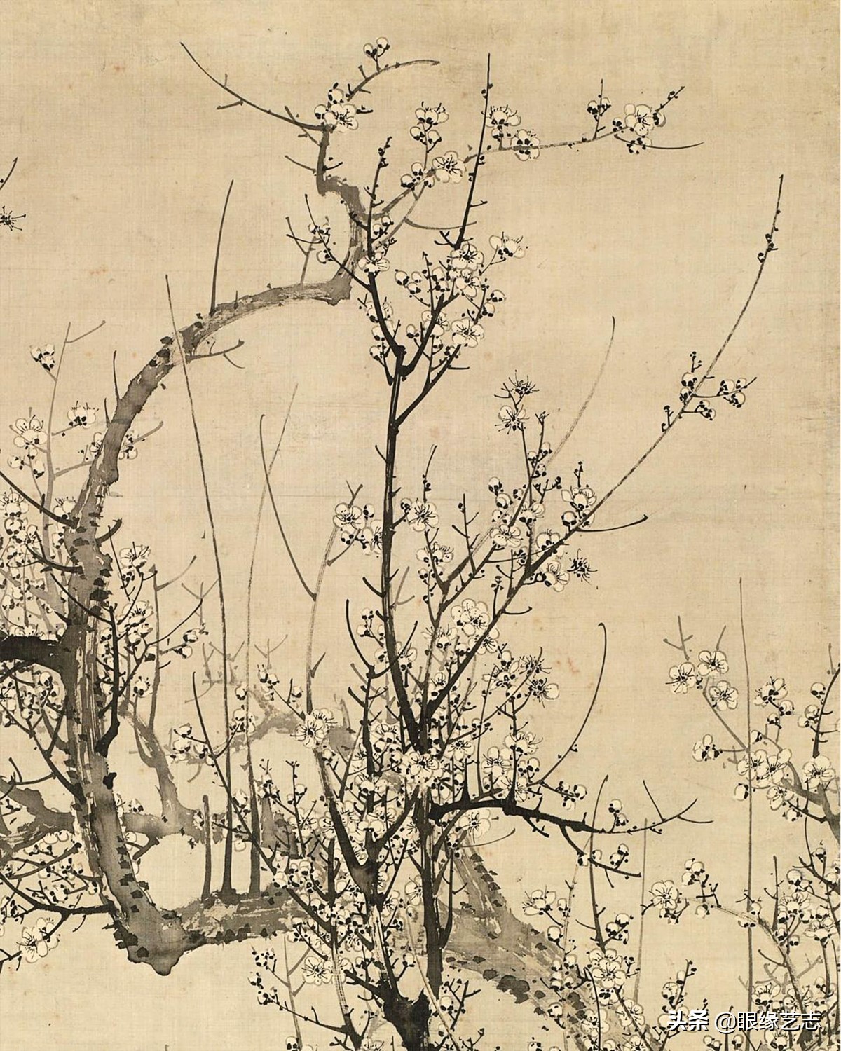 日本100幅中国古代绘画,日本花鸟绘画欣赏