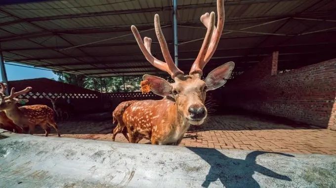 重庆五一冷门自驾,重庆出发自驾8日游攻略路线推荐
