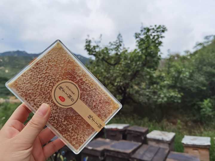 蜂蜜怎么吃才是最佳的方法,寻蜂蜜最有效的方法