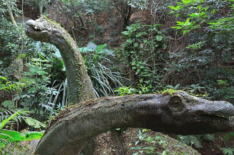 亲子秋游深圳青青世界,大自然深圳青青世界