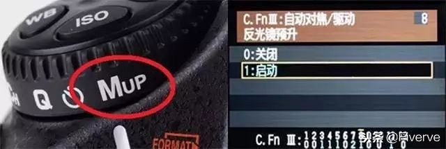 照片一放大就模糊，如何让摄影图片更加清晰？