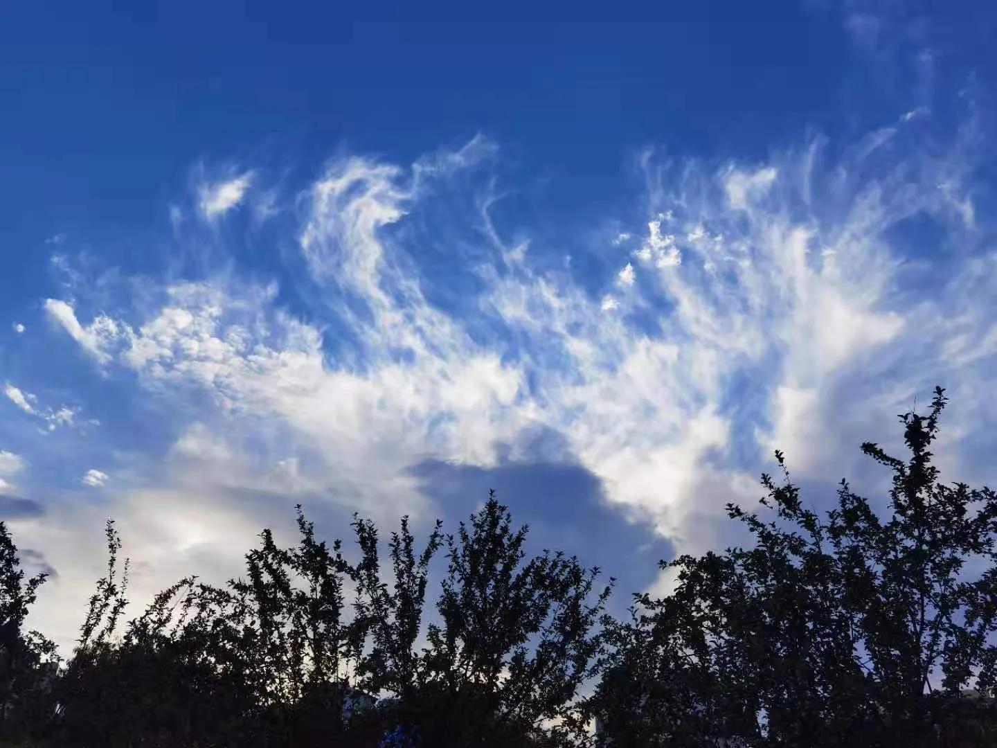 孟军创作的原声,孟军诗歌完整版