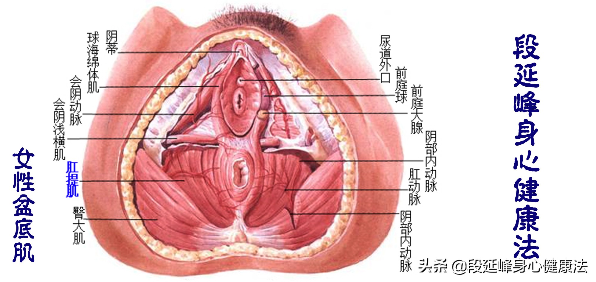 有什么治疗月经不调痛经的方法,痛经都怎么治疗得好呢吃什么药