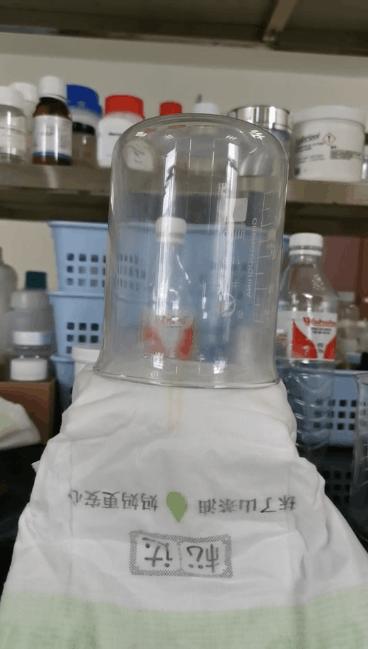 松达c纸尿裤测评,松达山茶油纸尿裤正确使用方法