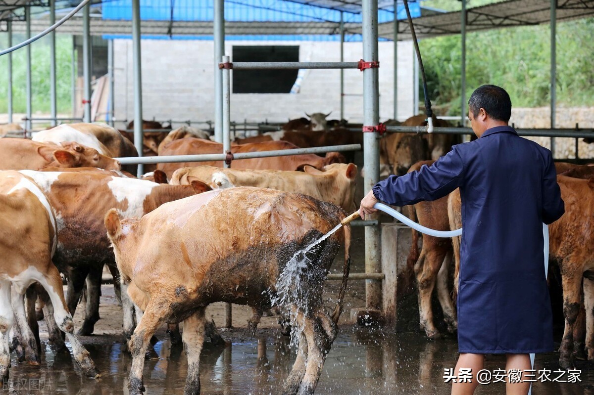 为什么养殖不赚钱还有很多人养,养殖到底能不能赚钱呢