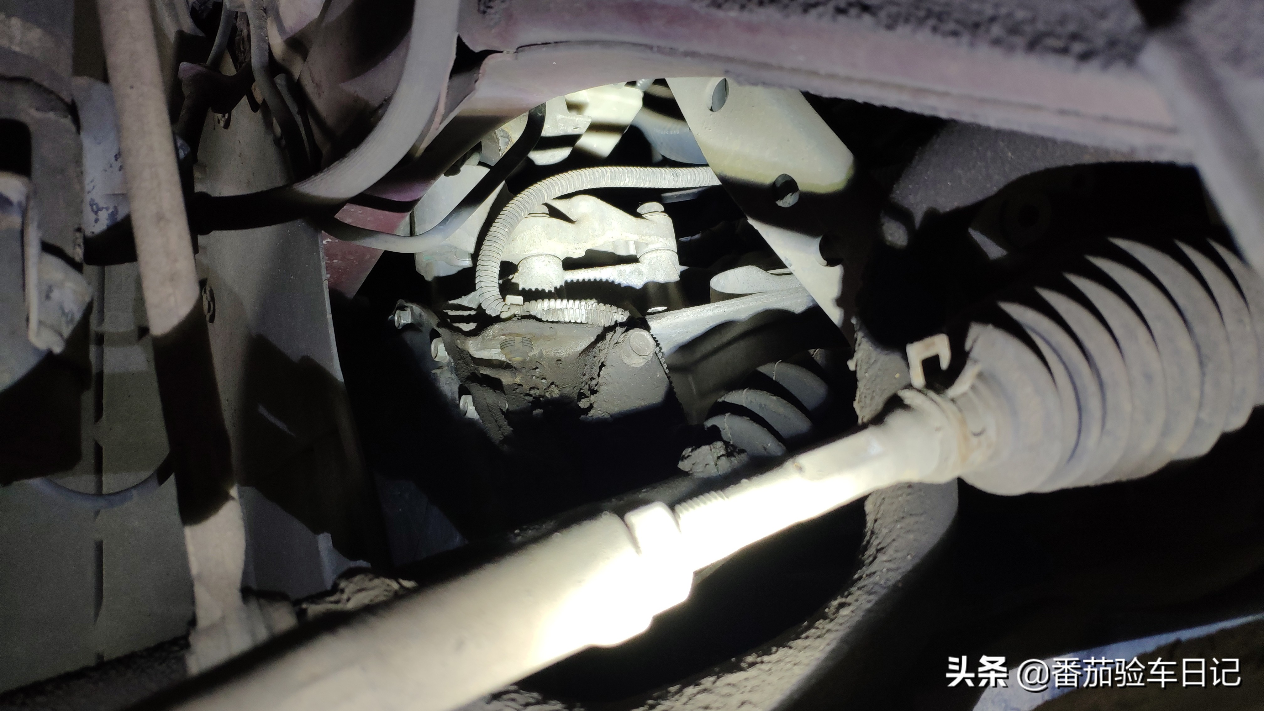 苍天饶过谁十年后的报应,苍天饶过谁节选