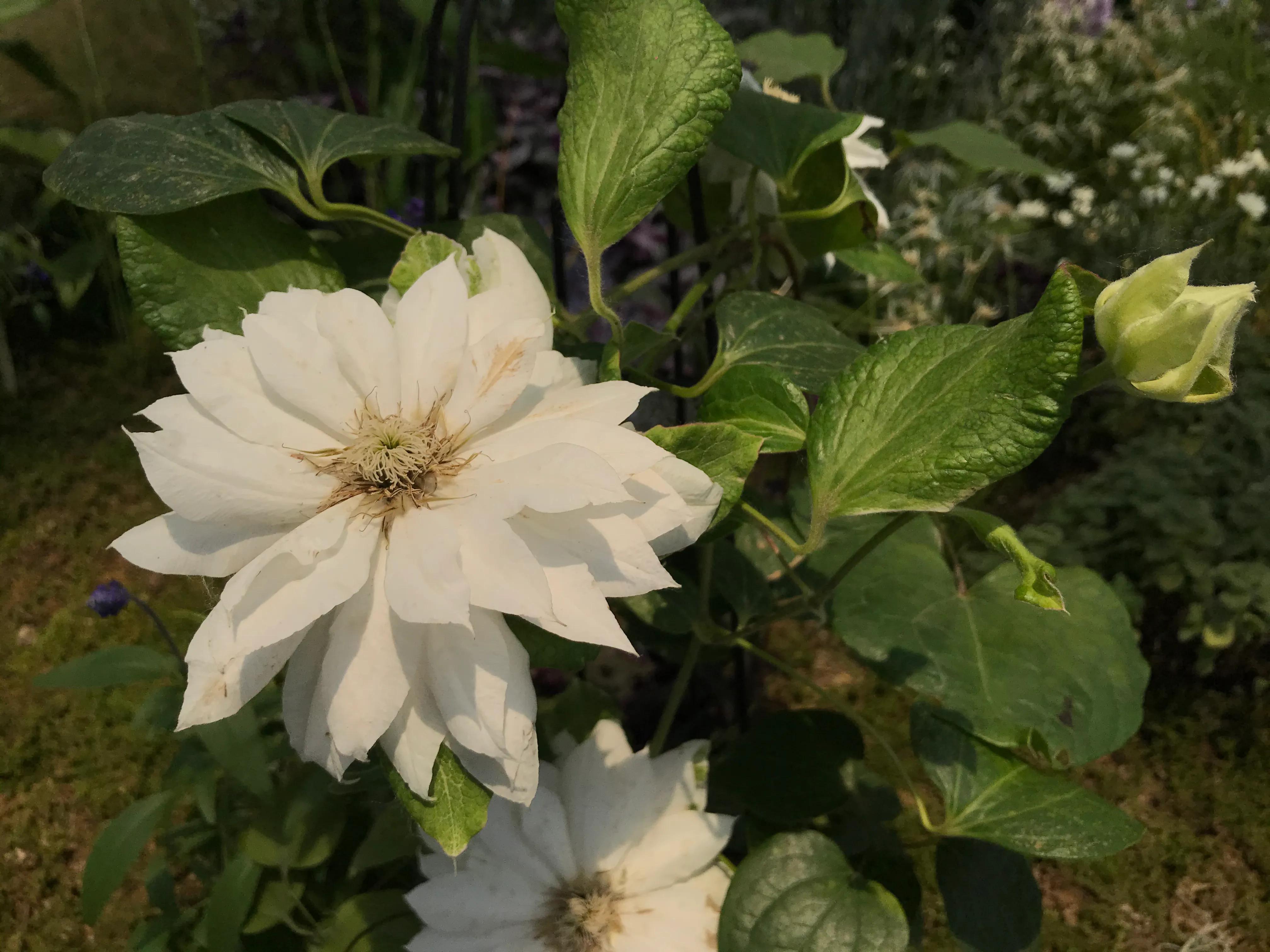 2021扬州世园会园艺微景观创作国际竞赛-世园会国际馆