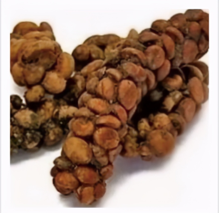 速溶猫屎咖啡推荐,越南猫屎咖啡好吗