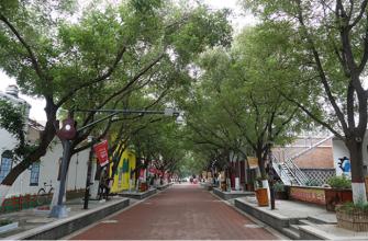 武强乐器视频,武强乐器产业