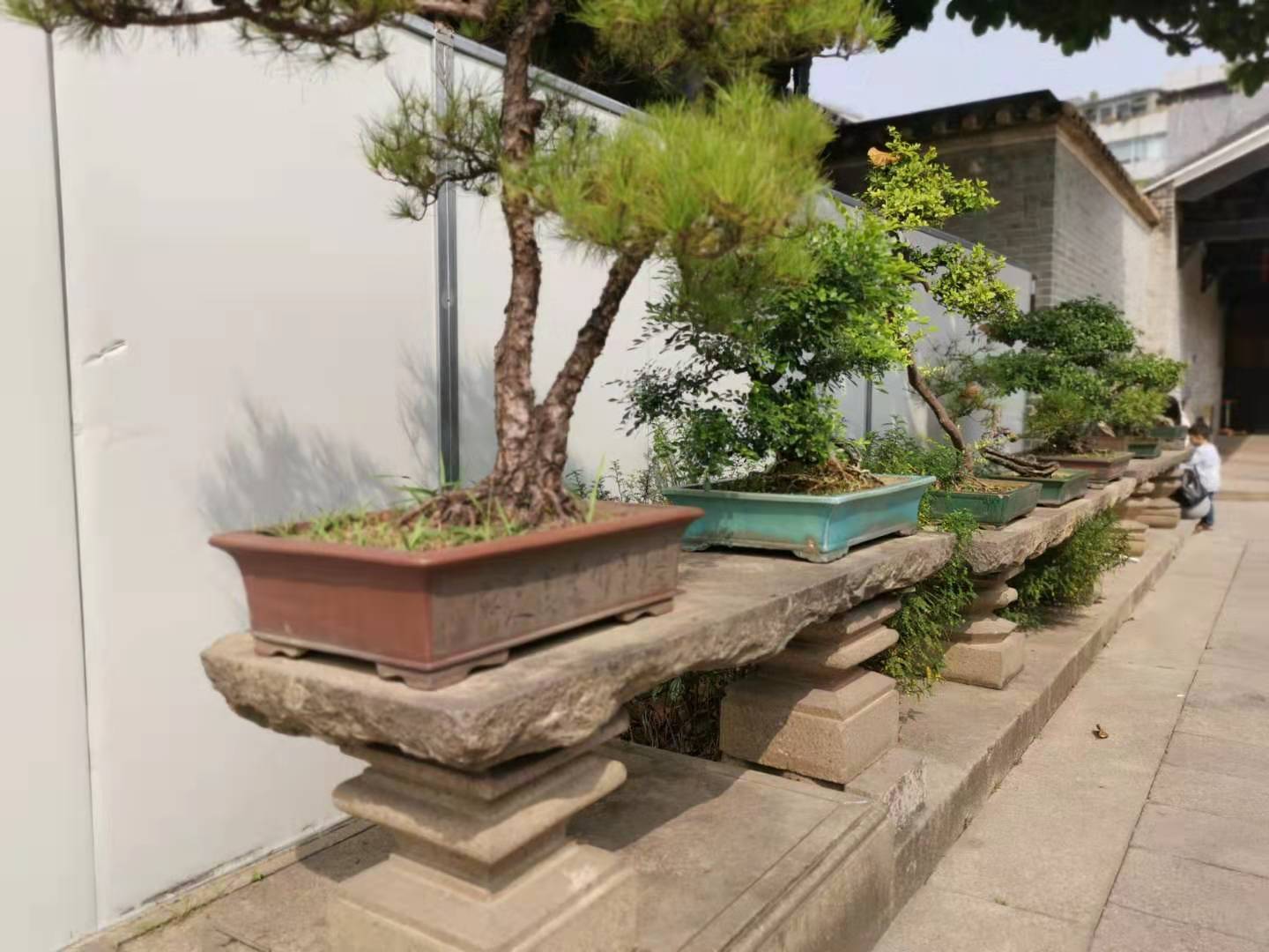 中国传统文化与院子,中国传统文化天井