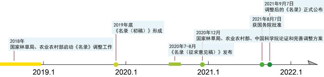 天价交易下历尽劫难的野生兰花,终于有了“护身符”