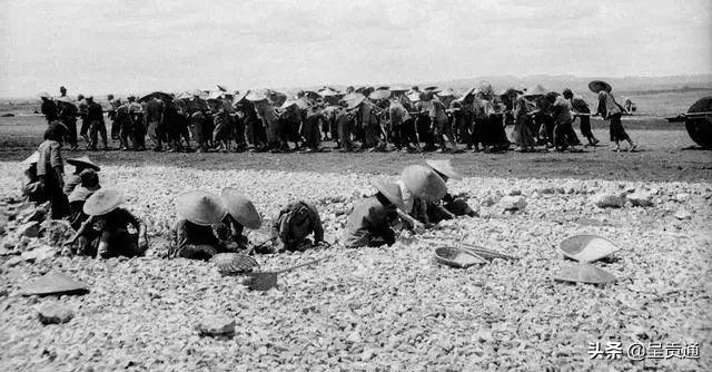 关于呈贡的介绍,呈贡的发展