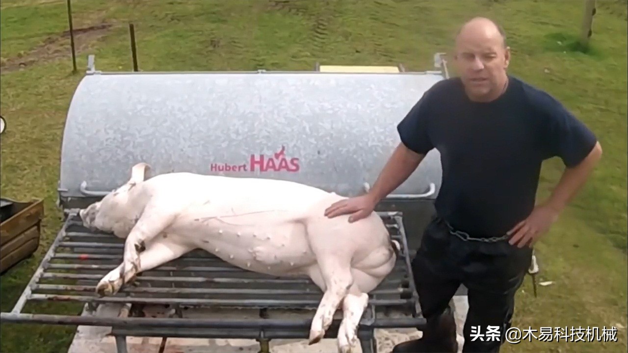 脱猪毛最好的神器,脱猪毛神器大全