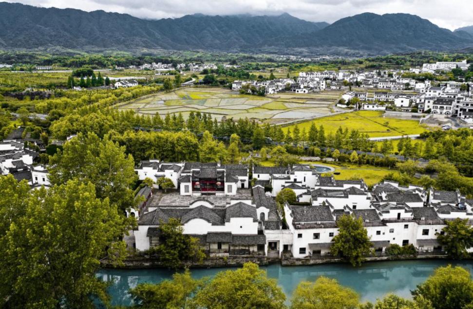 閰掑簵甯冭崏鍝佺墝鍗佸ぇ鎺掕,鍝佺墝閰掑簵鎺掕姒滃墠鍗佸悕