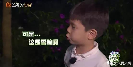 明星父爱催泪,男明星当爸的苦