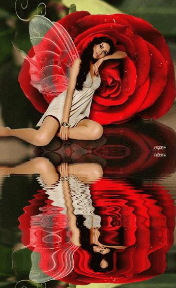 50张极致水中花美照!绝世千年!一次一张!(速看)