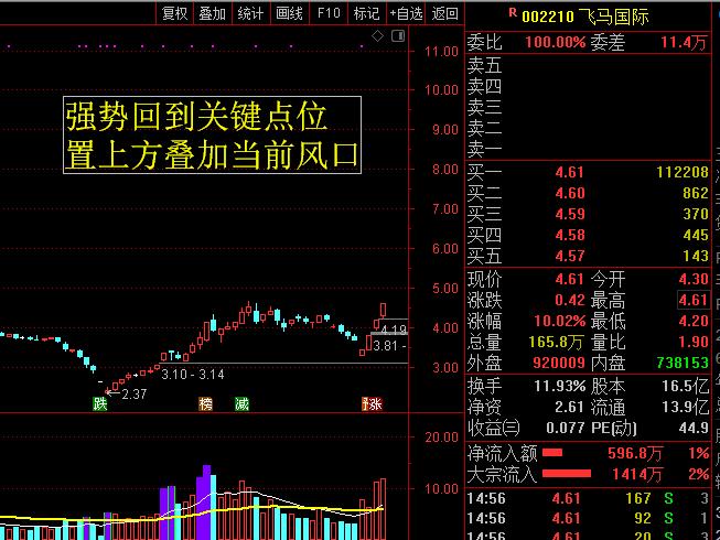 飞马国际最新分析,飞马国际有企稳态势么