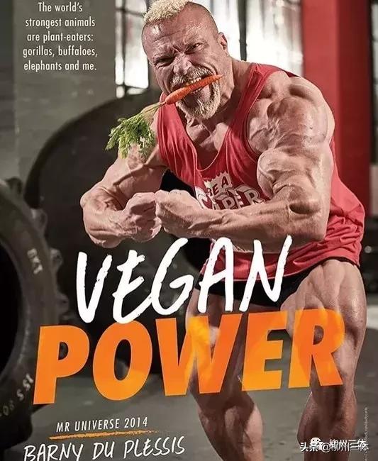 柳州三体|吴彦祖竟是常客！这家素食餐厅为何拥有这“魔力”？