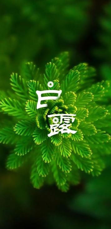 「诗词鉴赏」清风至，白露生，那些优美的白露诗词