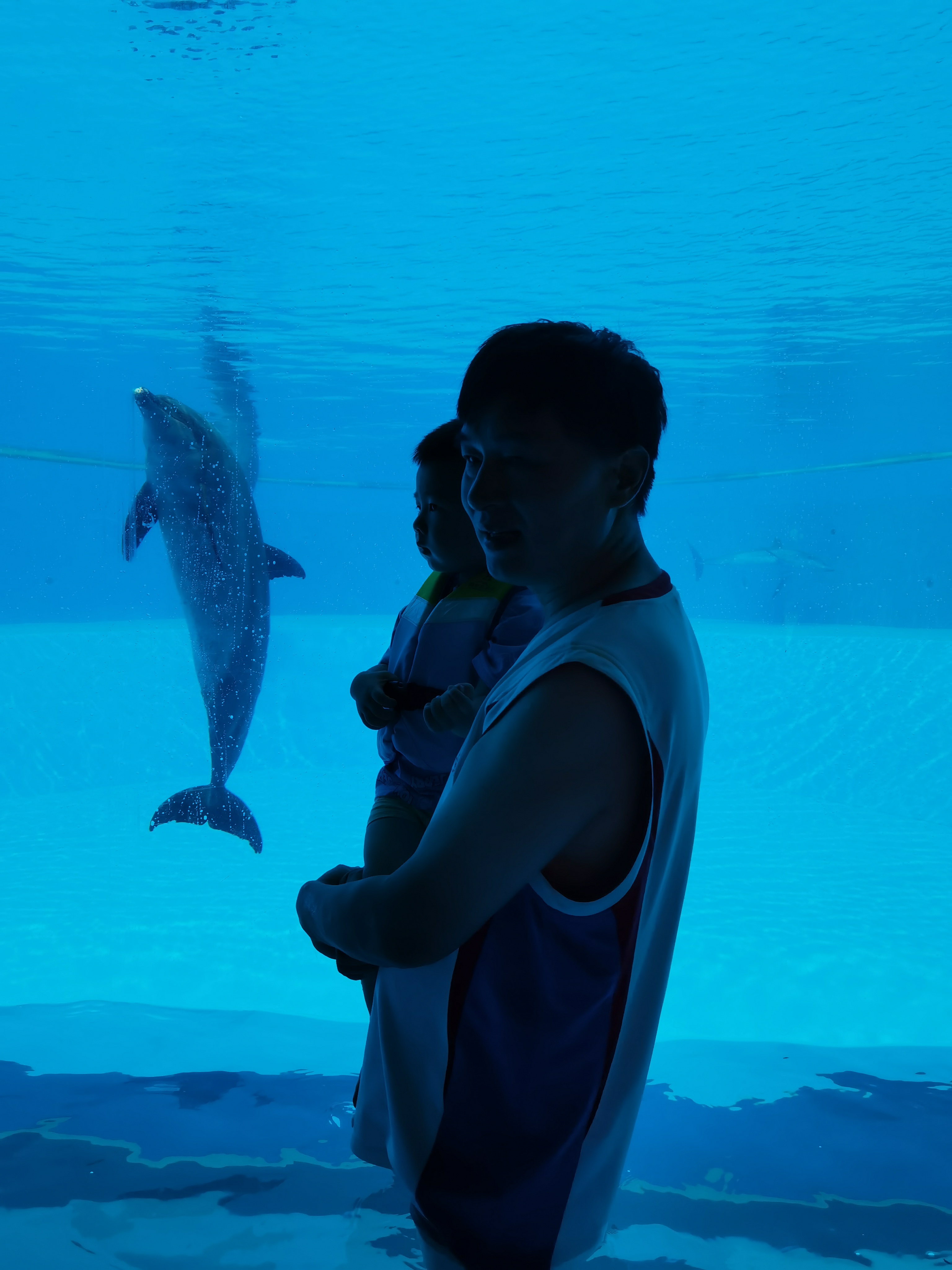 珠海长隆海洋王国回本攻略,珠海长隆海洋王国一天能玩转吗