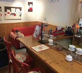 在阿尔卑斯山下一个中餐馆吃午饭,在阿尔卑斯山的悬崖喝杯咖啡