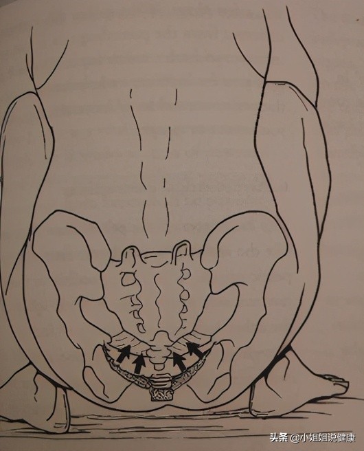 盆底锻炼除了凯格尔还有哪些,凯格尔运动能锻炼盆底深层肌肉吗