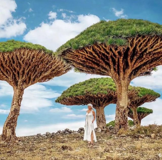 世界尽头的美丽,世界尽头的极致美丽