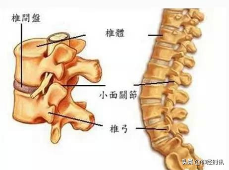 病理脚麻的最快恢复方法,脚麻诊断思路