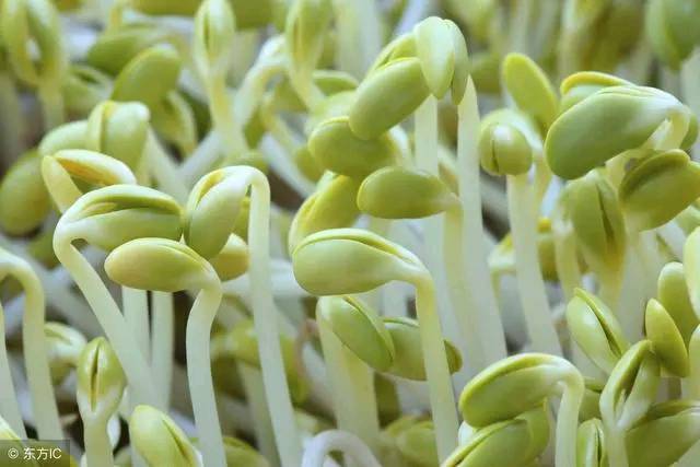 试婚和闪婚有什么禁忌,试婚和正式婚姻