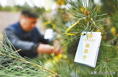 来聊聊天津丧葬习俗：近年有大变化，有种殡葬方式政府还会发补贴