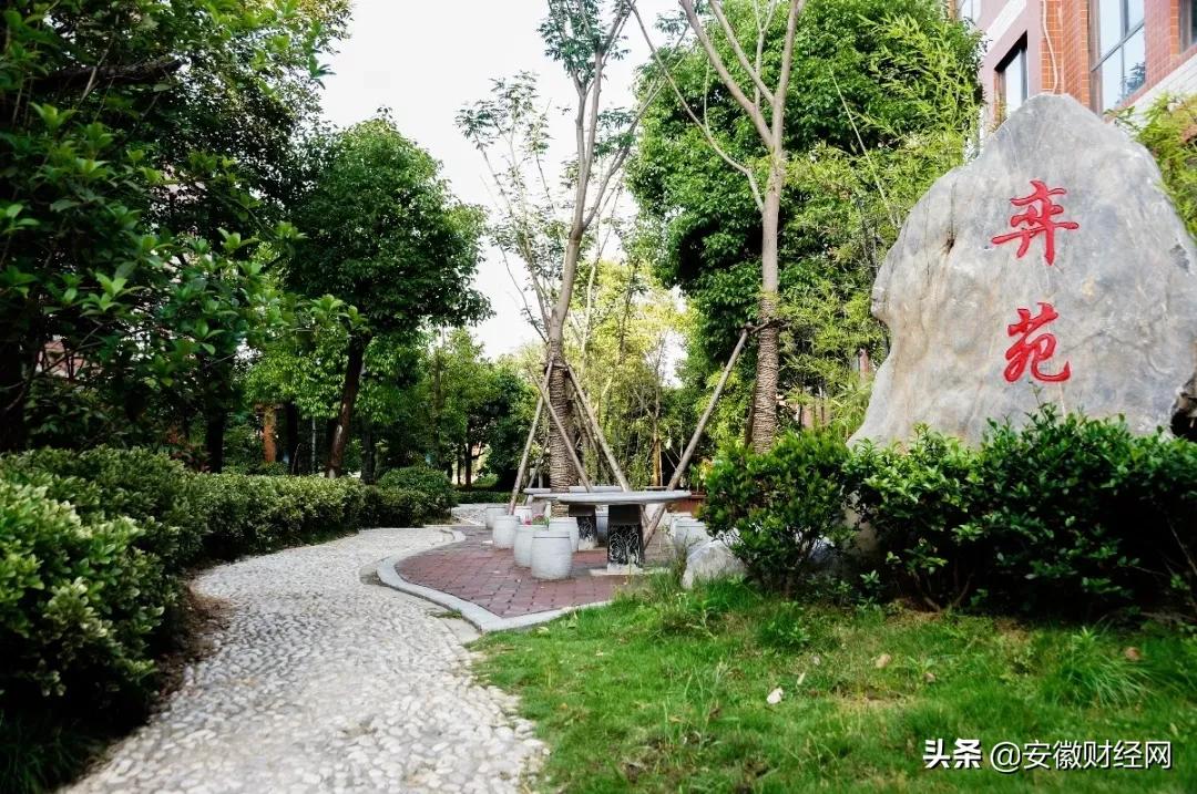 花都开好了现场完整版,花都开好了合唱合拍