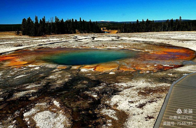 鍖楃編鏋儏闃虫柊,鍖楃編鏋儏鍥剧墖