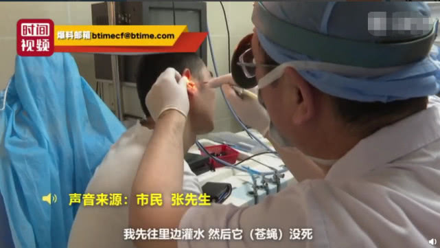 苍蝇飞进耳朵挣扎一会没动静了,苍蝇飞进小伙耳道医生妙招取出