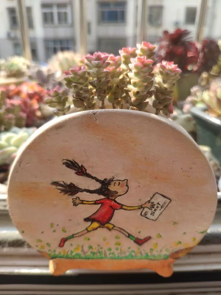 每一棵多肉都承载了一段时光,每一棵多肉都是独一无二