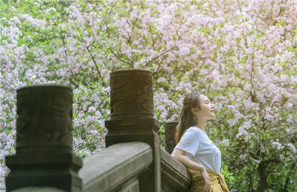 2020年4月成都双流赏花地点,双流踏青赏花地