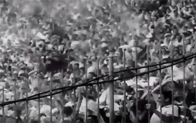 一首wake带你感受足球的魅力,一分钟了解足球历史