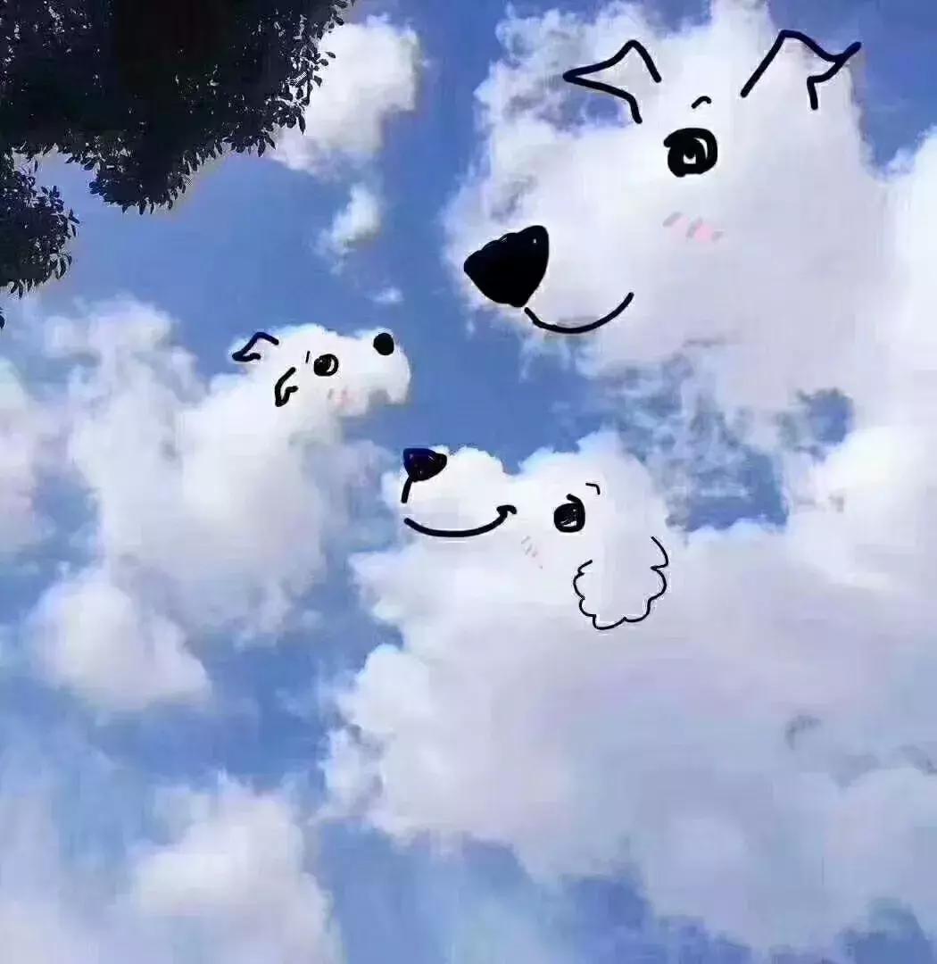 阿拉丁经典神话,阿拉丁是不是神话故事