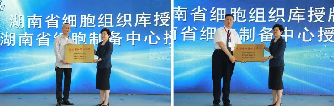 全球疫情中医药,全球疫情中国驰援