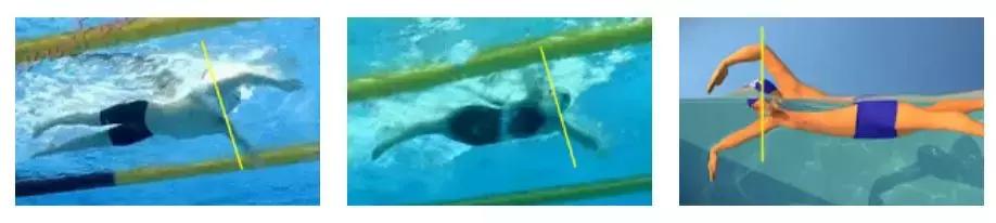 世界知名游泳运动员及世界纪录,中国游泳盘点10大游泳冠军训练