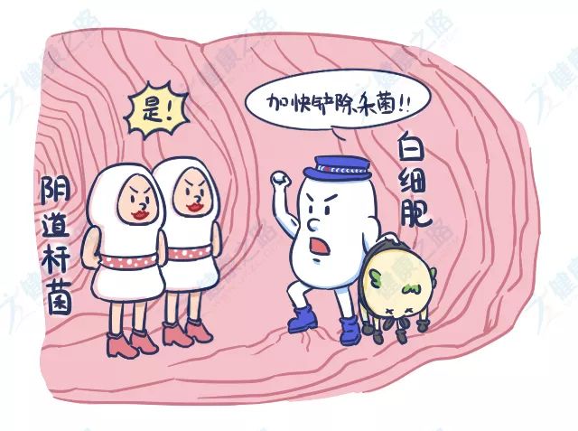 怎样的白带才算正常？这份检查指标可以给你答案