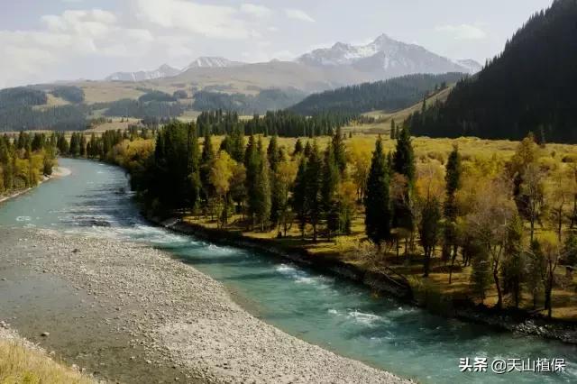 伊犁可克达拉草原,伊犁草原之旅