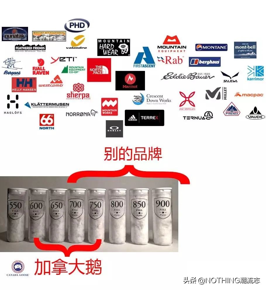 羽绒服鄙视链解析,羽绒服歧视指南到底歧视的是什么