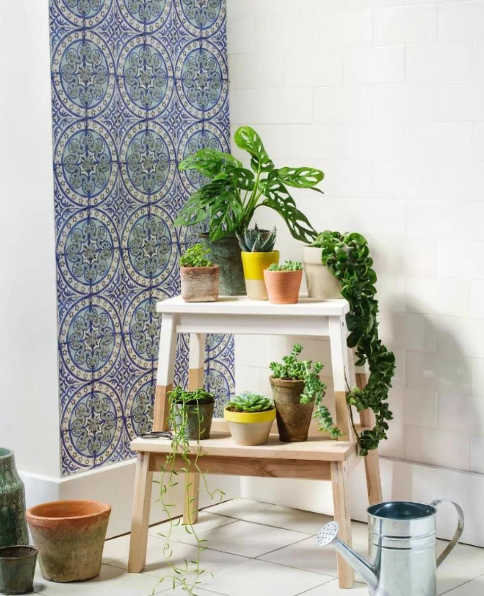 房子是租的但生活不是英语怎么说,房子是租来的但生活不是别墅