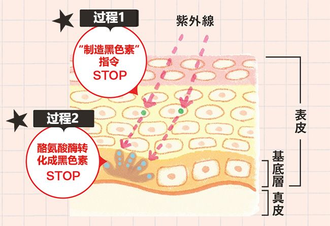 好的美白精华真的有用吗,美白精华真的可以有效美白吗