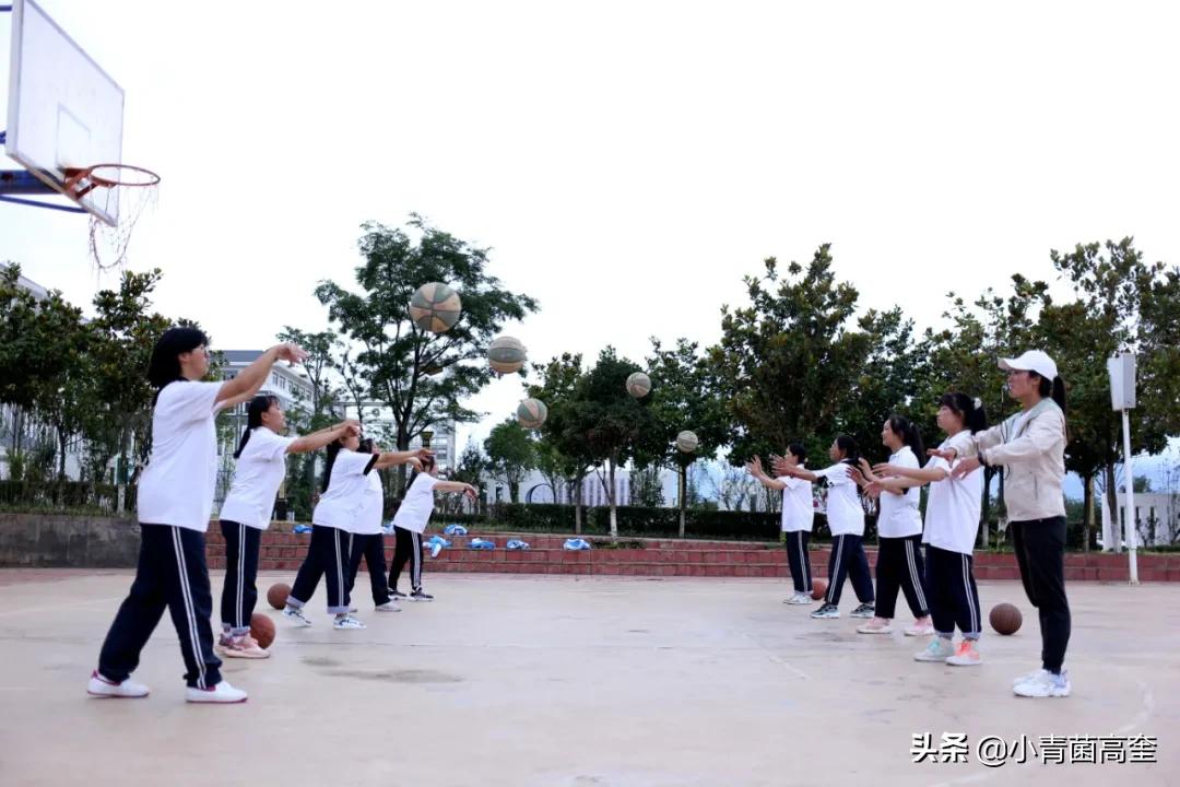 云南曲靖会泽县茚旺高中致远中学高一新生及补习班招生简章来啦