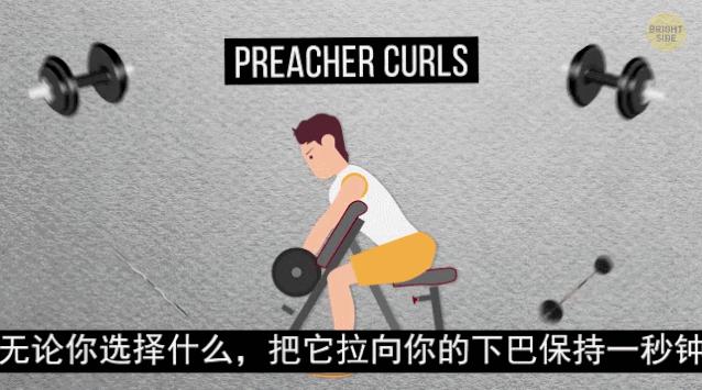 怎么练手臂的肱三头,怎么才能练出手臂的肱三头肌